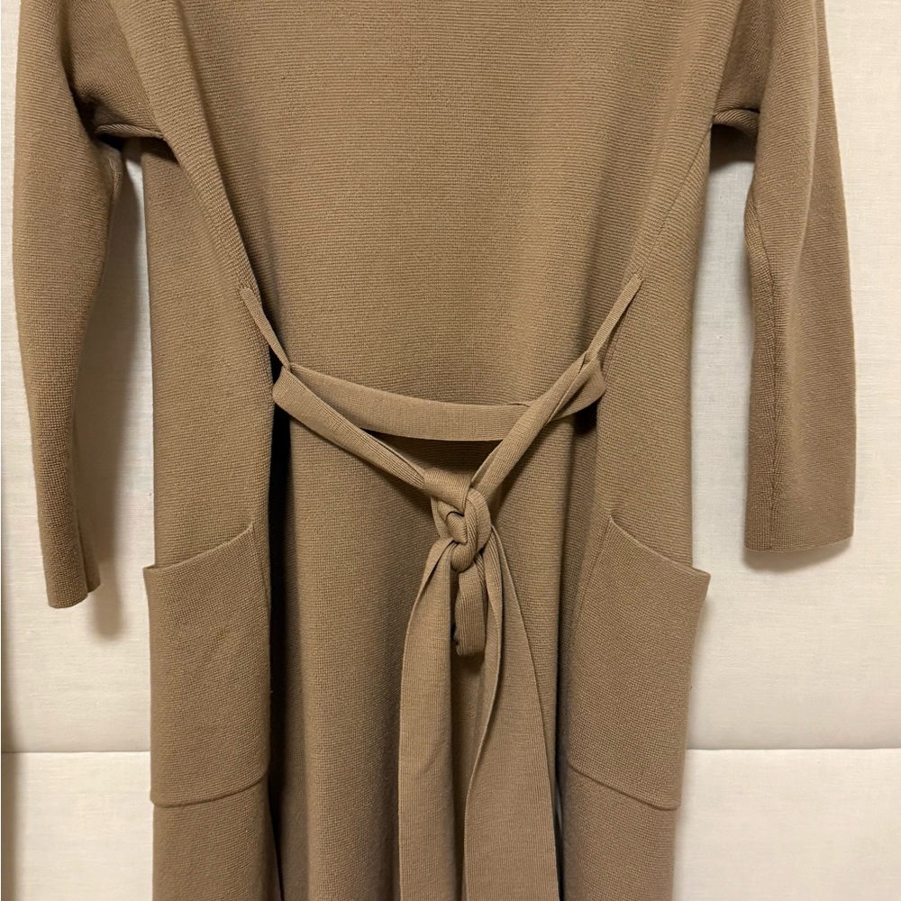 Wilfred Cozy Tan Long Sleeve Dress - Picture 8 of 14